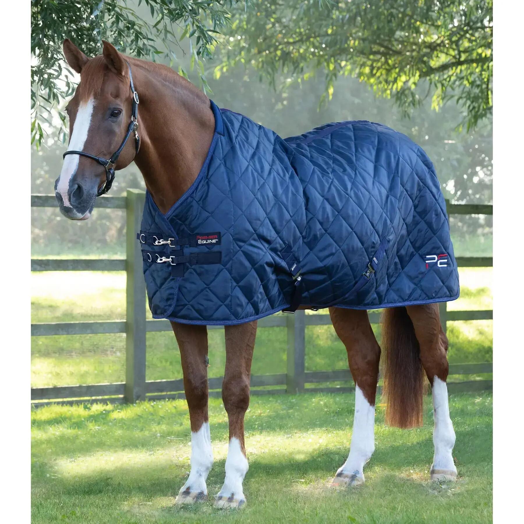PREMIER EQUINE picture