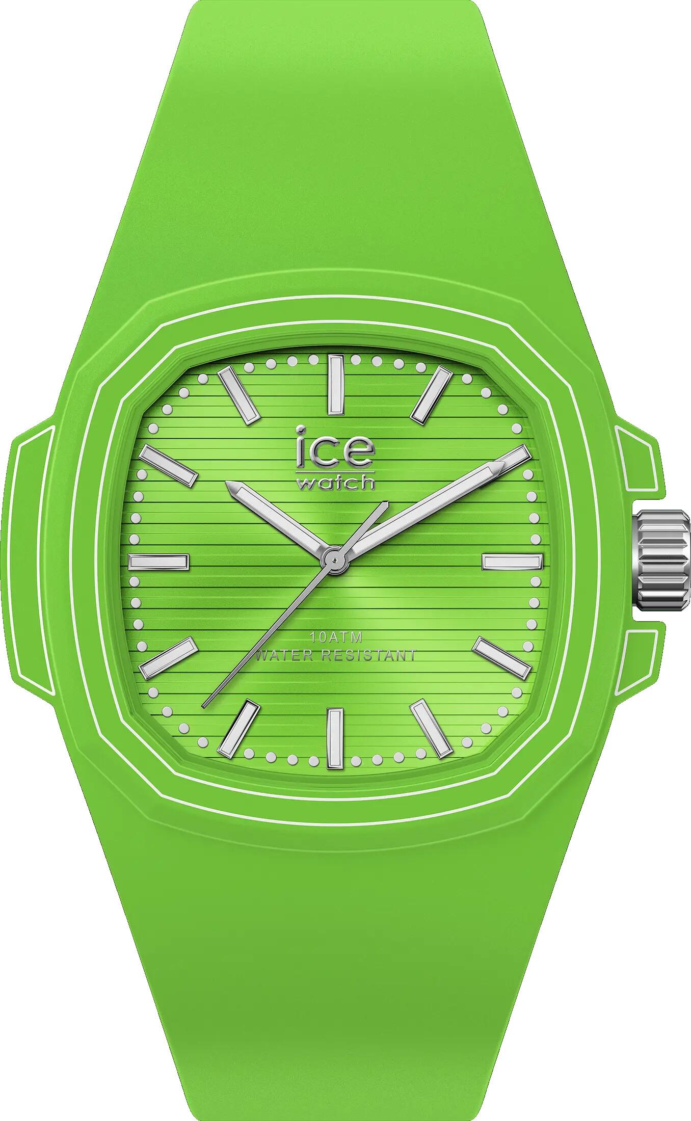 ICE WATCH picture