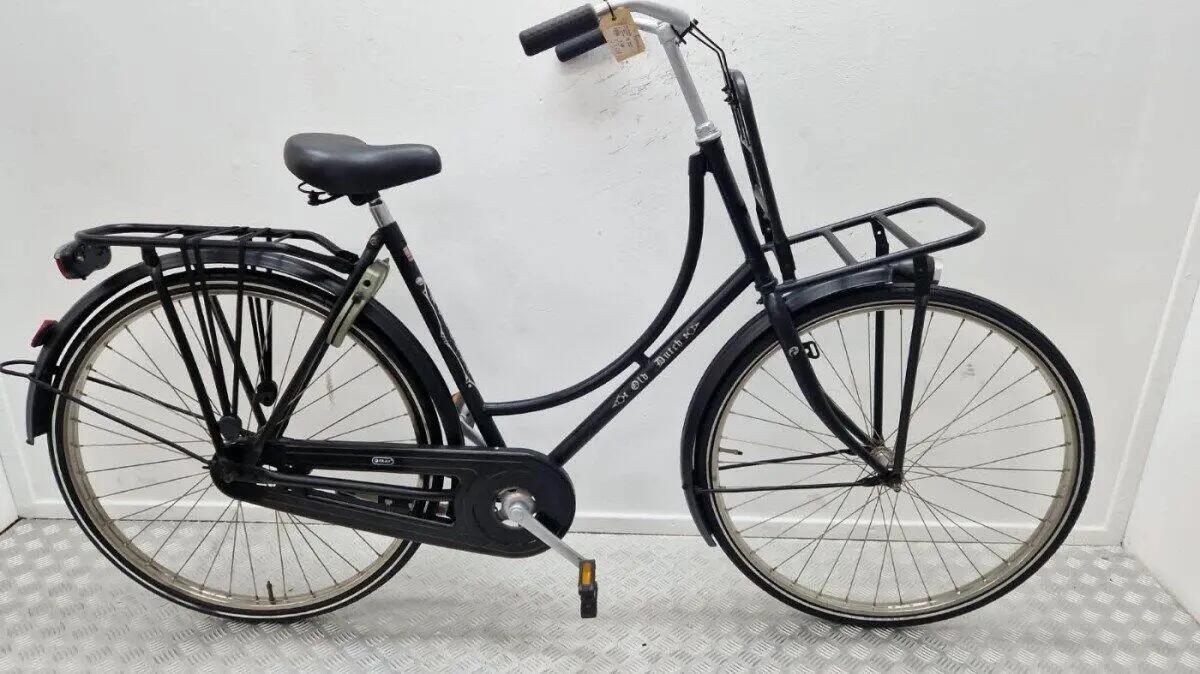 BATAVUS picture