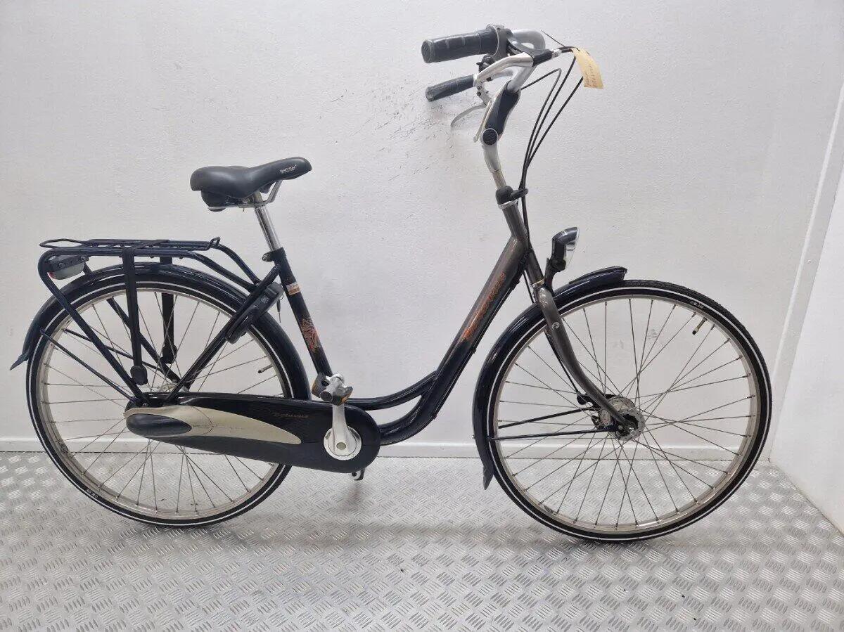 BATAVUS picture