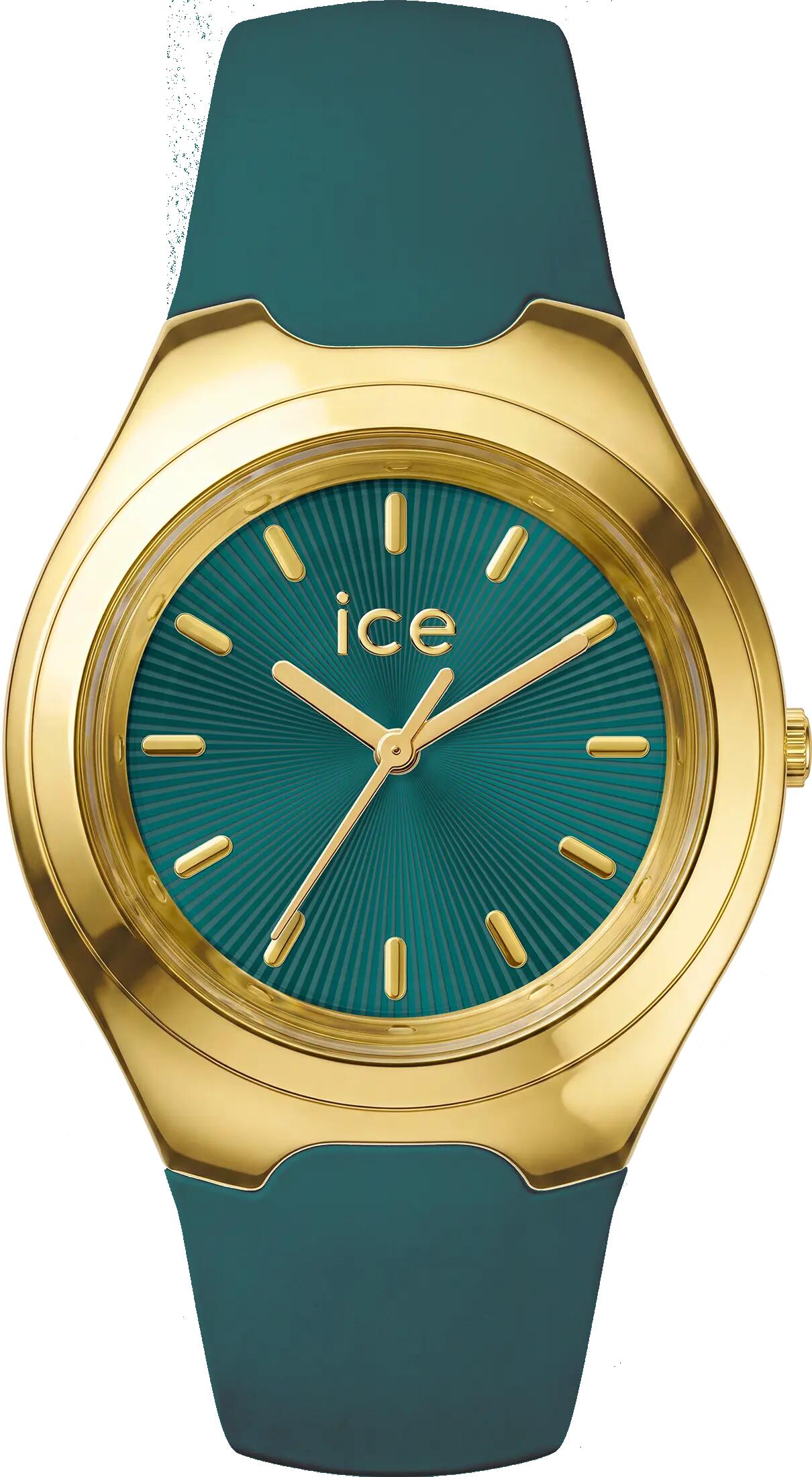 ICE WATCH picture