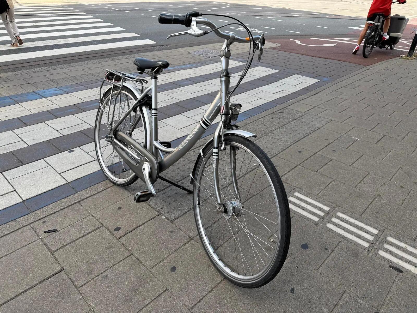 Gazelle Esprit College, Shimano Nexus shifter, metal/grijs 2/6
