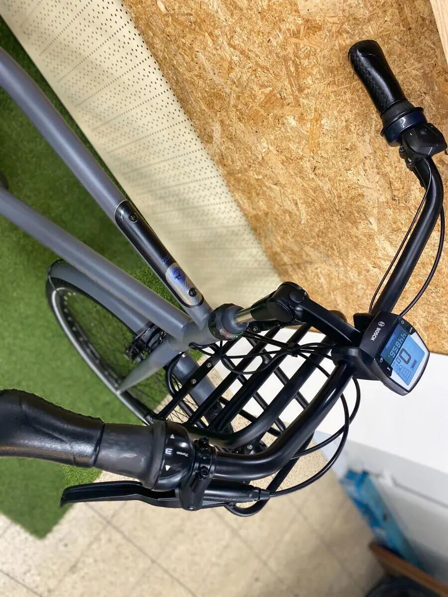 Gazelle heavy duty 400Wh, metal/grijs 5/7