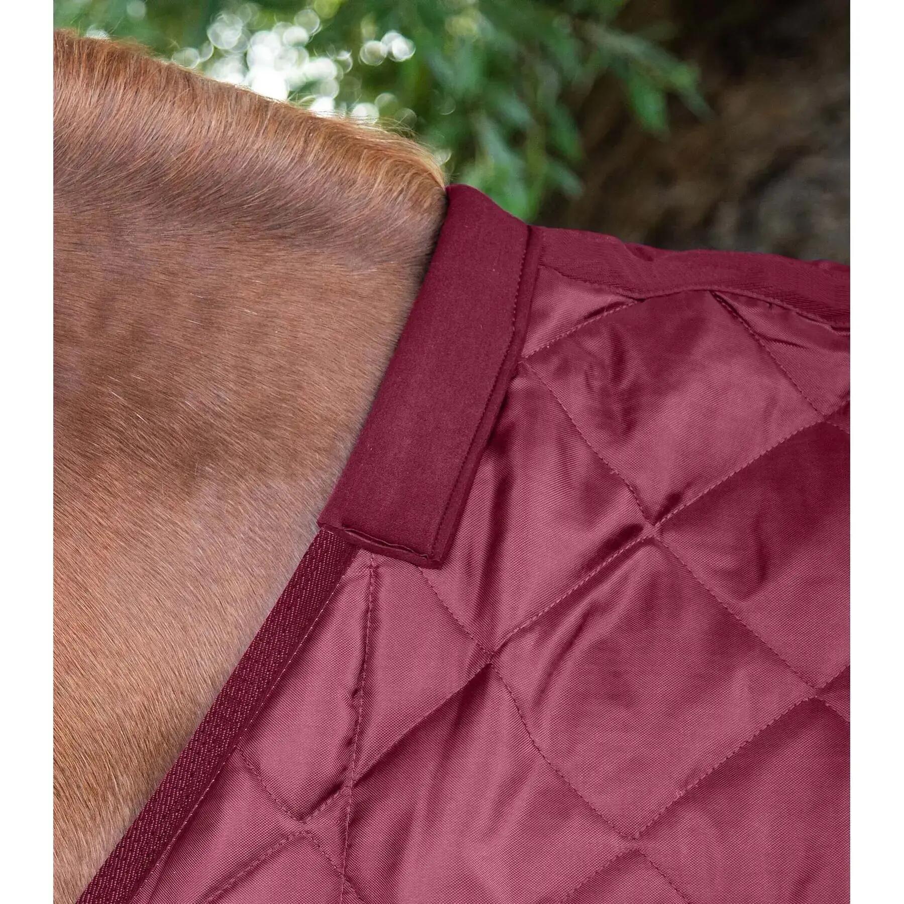Coperta da box per cavalli Premier Equine 200g 2/6