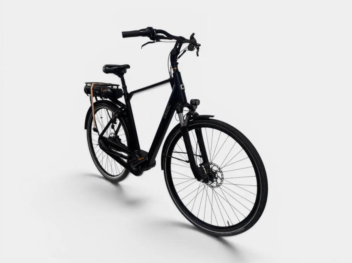 Qwic Premium MN7D (625Wh) 625Wh, Shimano Nexus, zwart 2/7