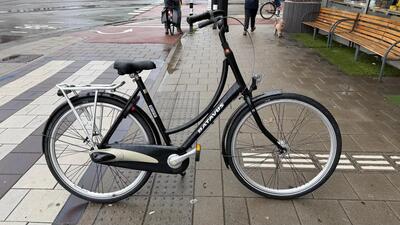 Batavus diva, zwart