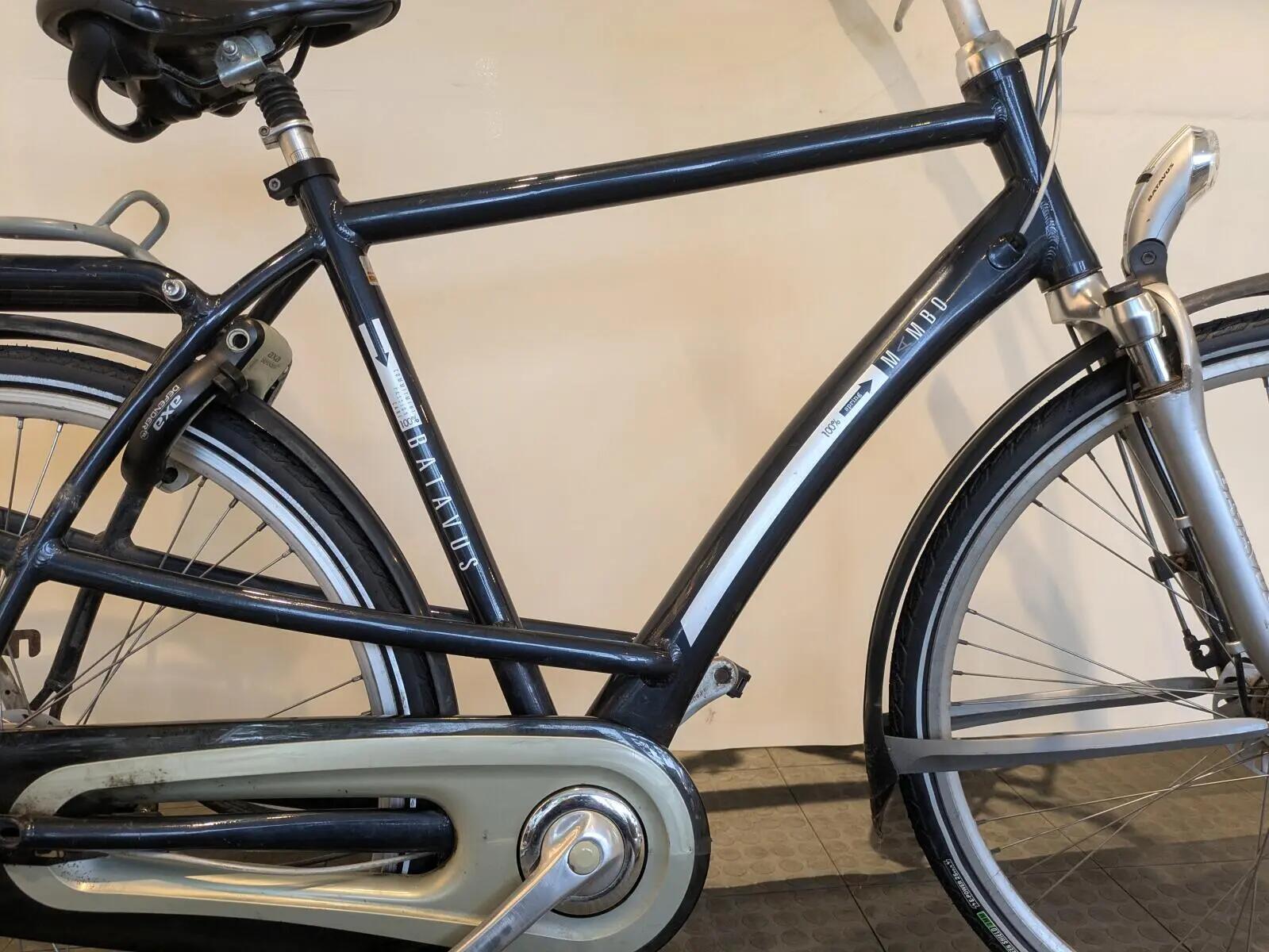 Batavus Mambo, blauw 2/6