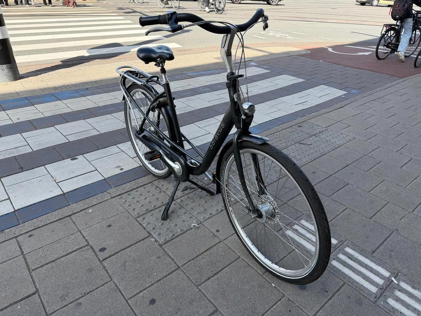 Batavus Inspire, metal/grijs 6/6