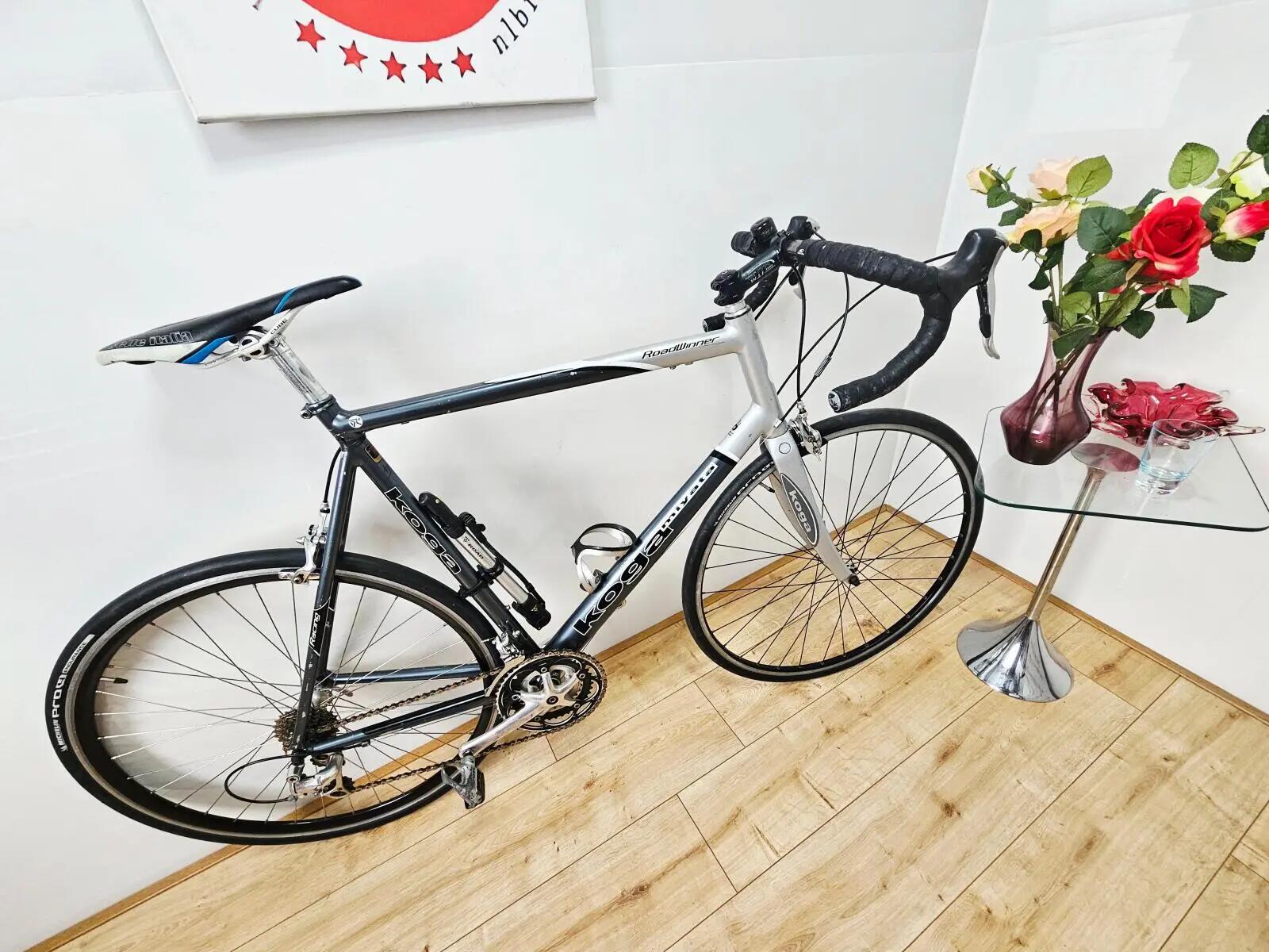 KOGA MIYATA picture