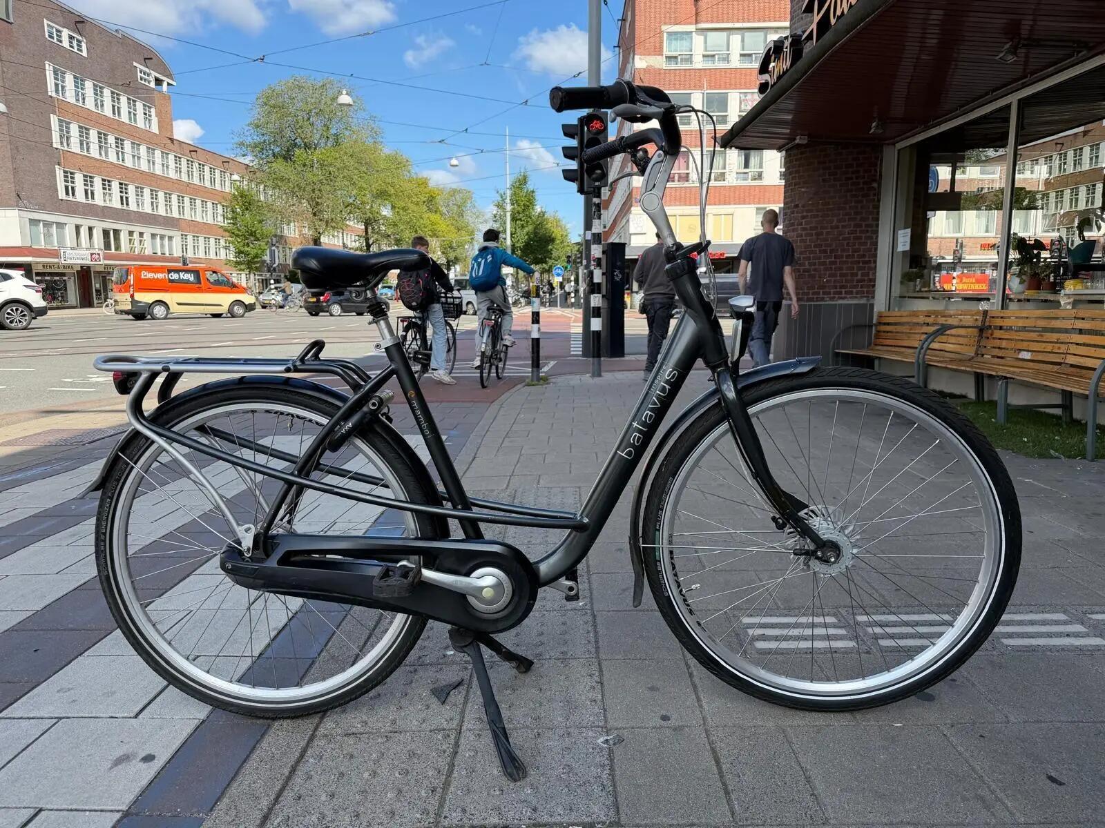 Batavus Inspire, metal/grijs 3/6