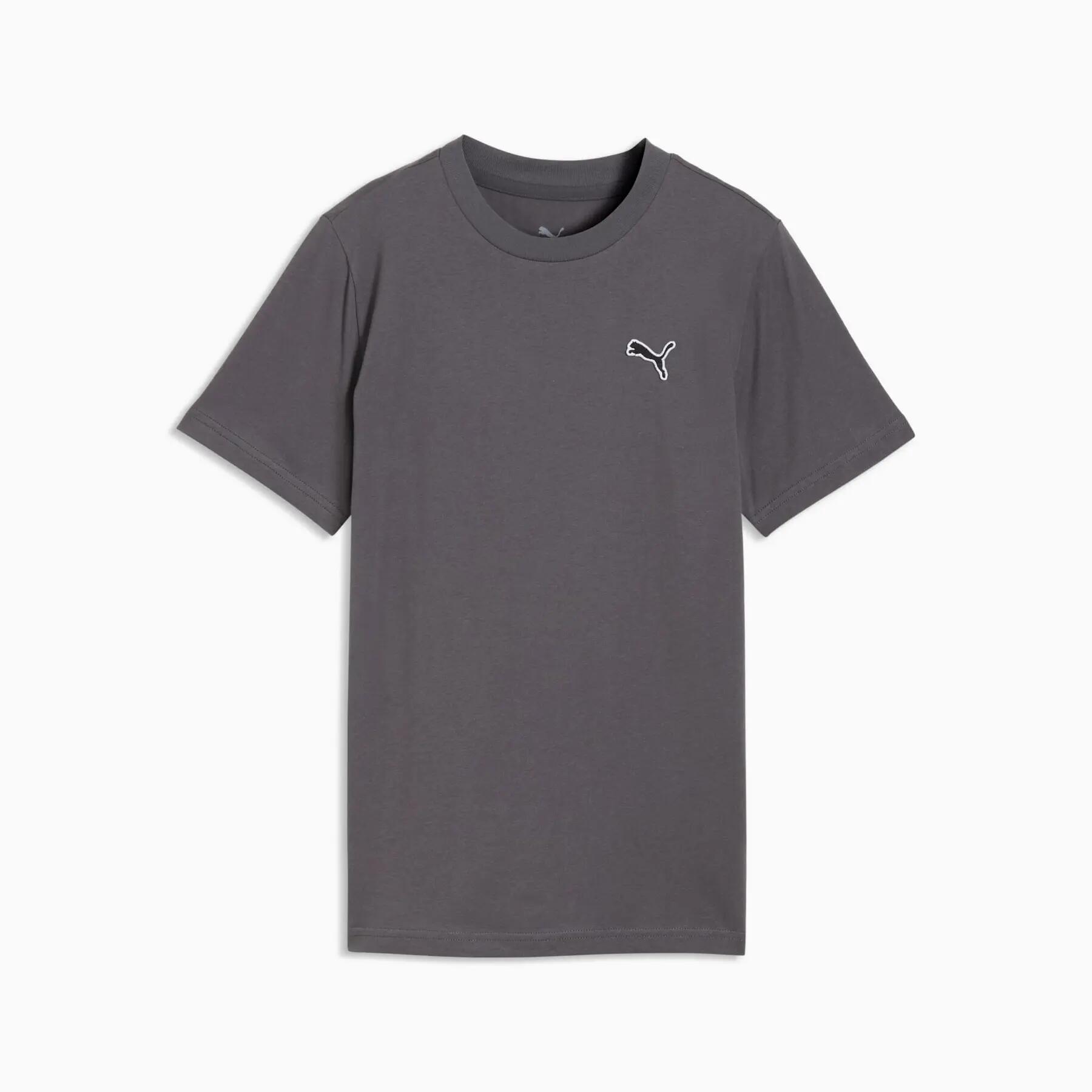 PUMA picture