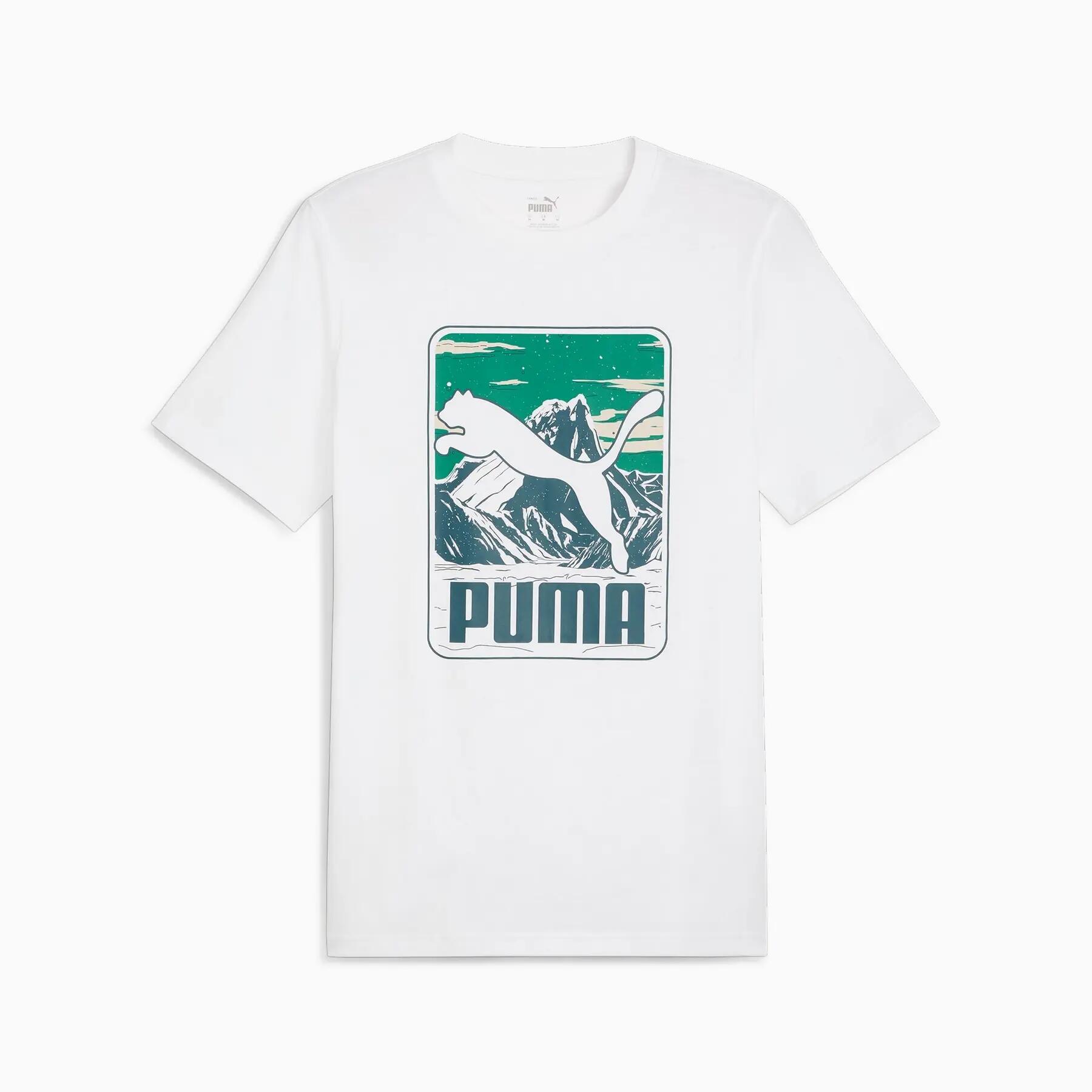 PUMA picture