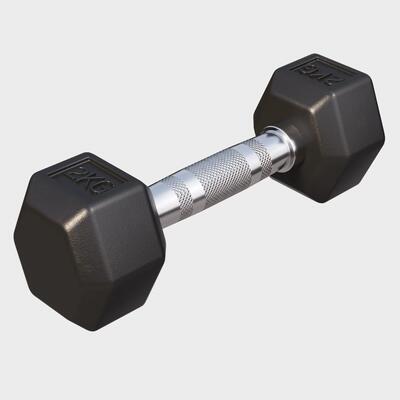 Dumbbell - 1 x 15 kg - gietijzer - hexagon - halter