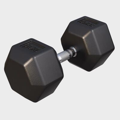 Dumbbell - 1 x 15 kg - gietijzer - hexagon - halter