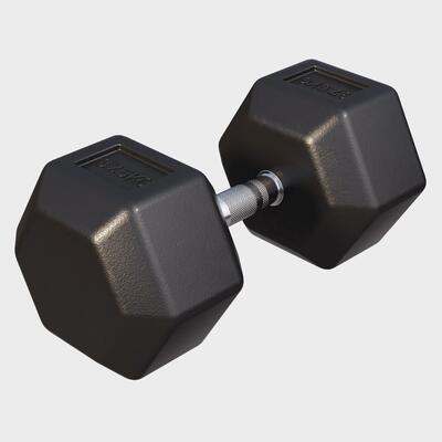 Dumbbell - 1 x 15 kg - gietijzer - hexagon - halter