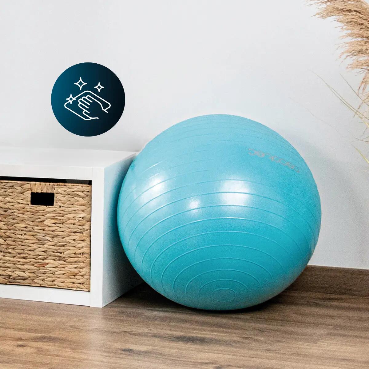 Cecotec Fit Ball DrumFit 65 Fitball 6/6