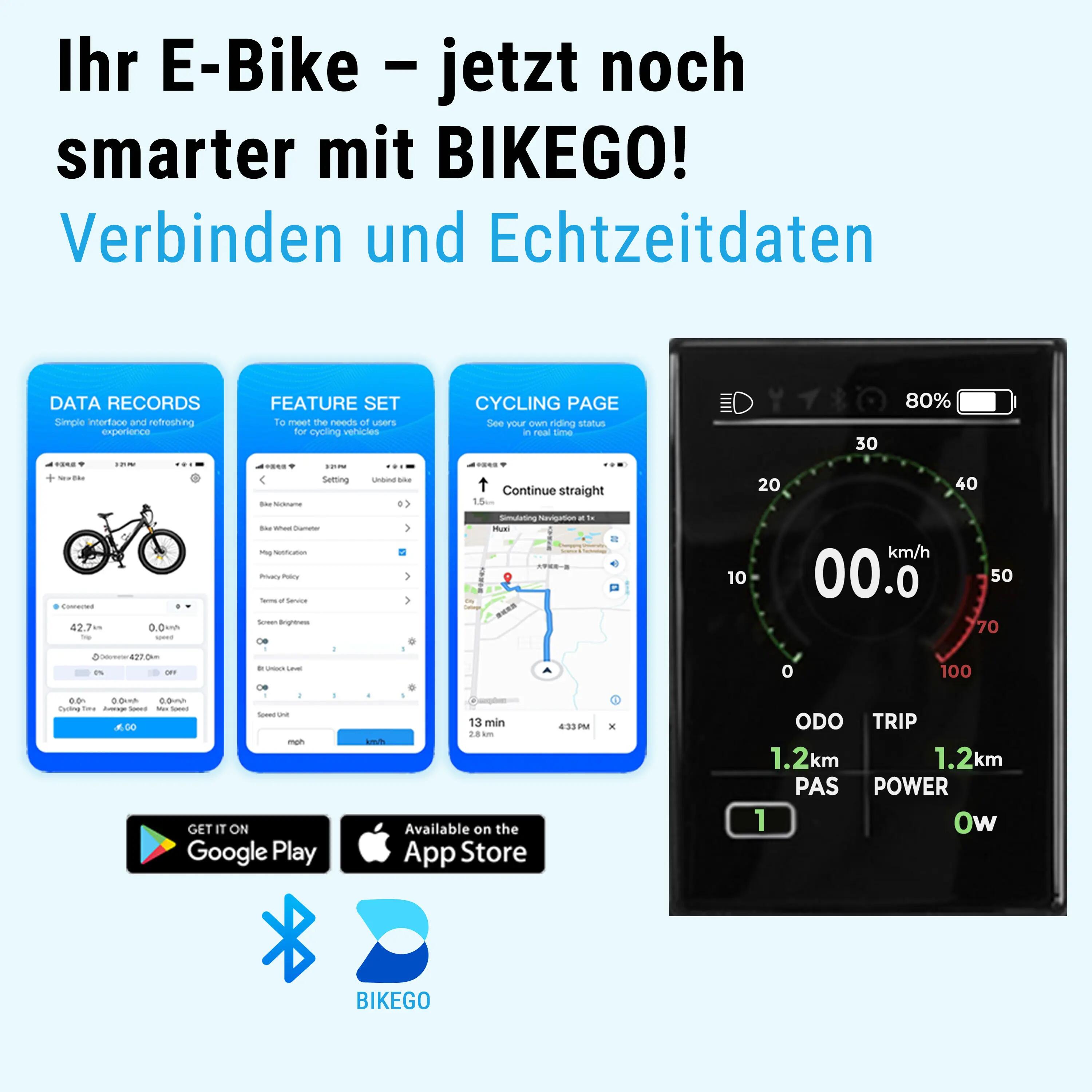 City E-Bike Stadtfalter B14 4/6