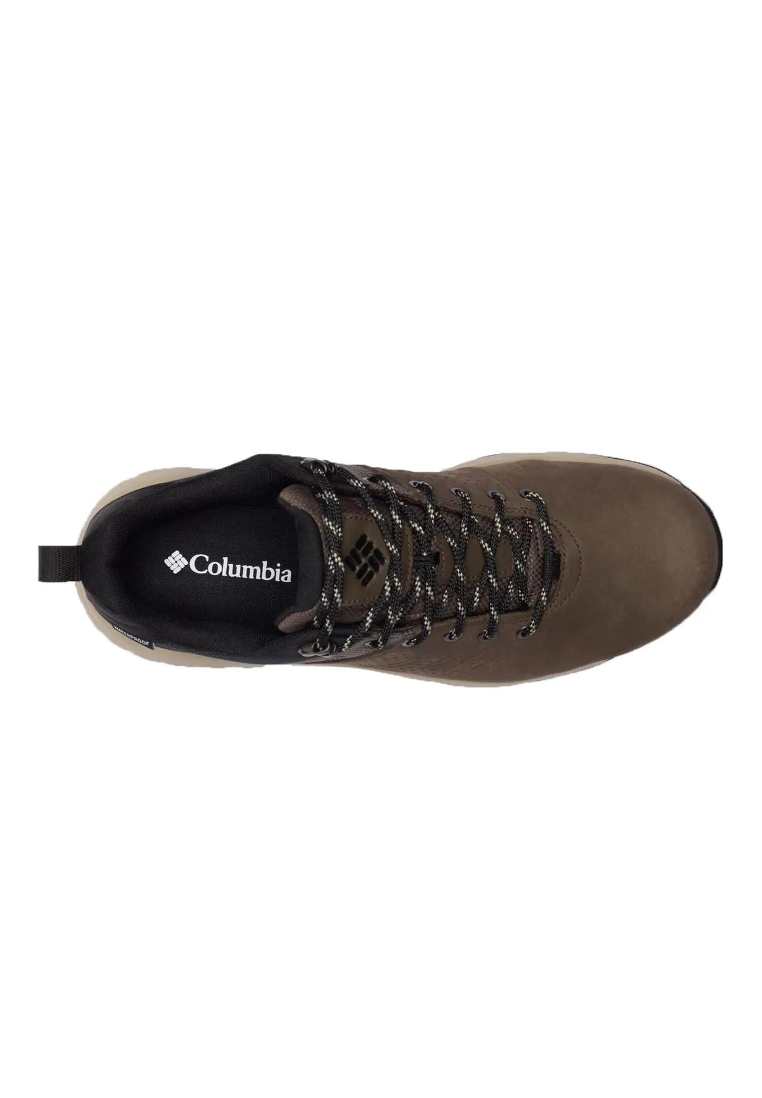 Chaussures Basses Hommes Newton Nimble LTR 7/8
