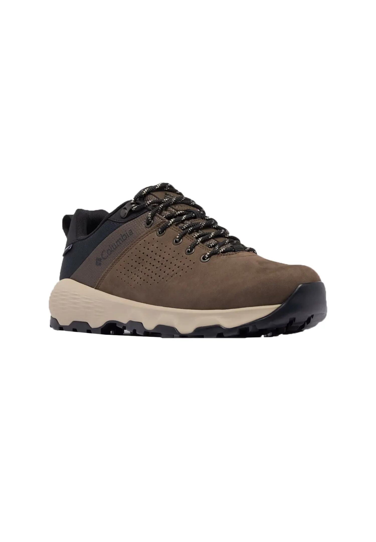 Chaussures Basses Hommes Newton Nimble LTR 3/8