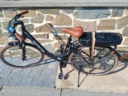 Tussen Particulieren - Minerva Estrel Comfort e-fiets