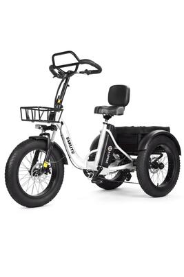 Eskute t302 pro cargo elektrische driewieler, 48v 20,8ah accu