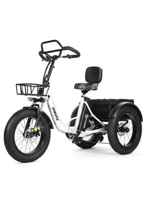 Tricycle cargo électrique ESKUTE T302 Pro, batterie 48 V 20,8 Ah