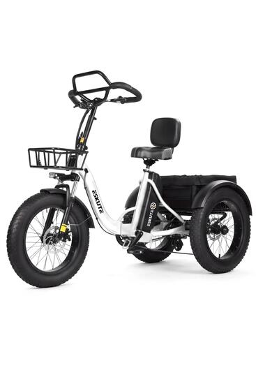 Tricycle cargo électrique ESKUTE T302 Pro, batterie 48 V 20,8 Ah