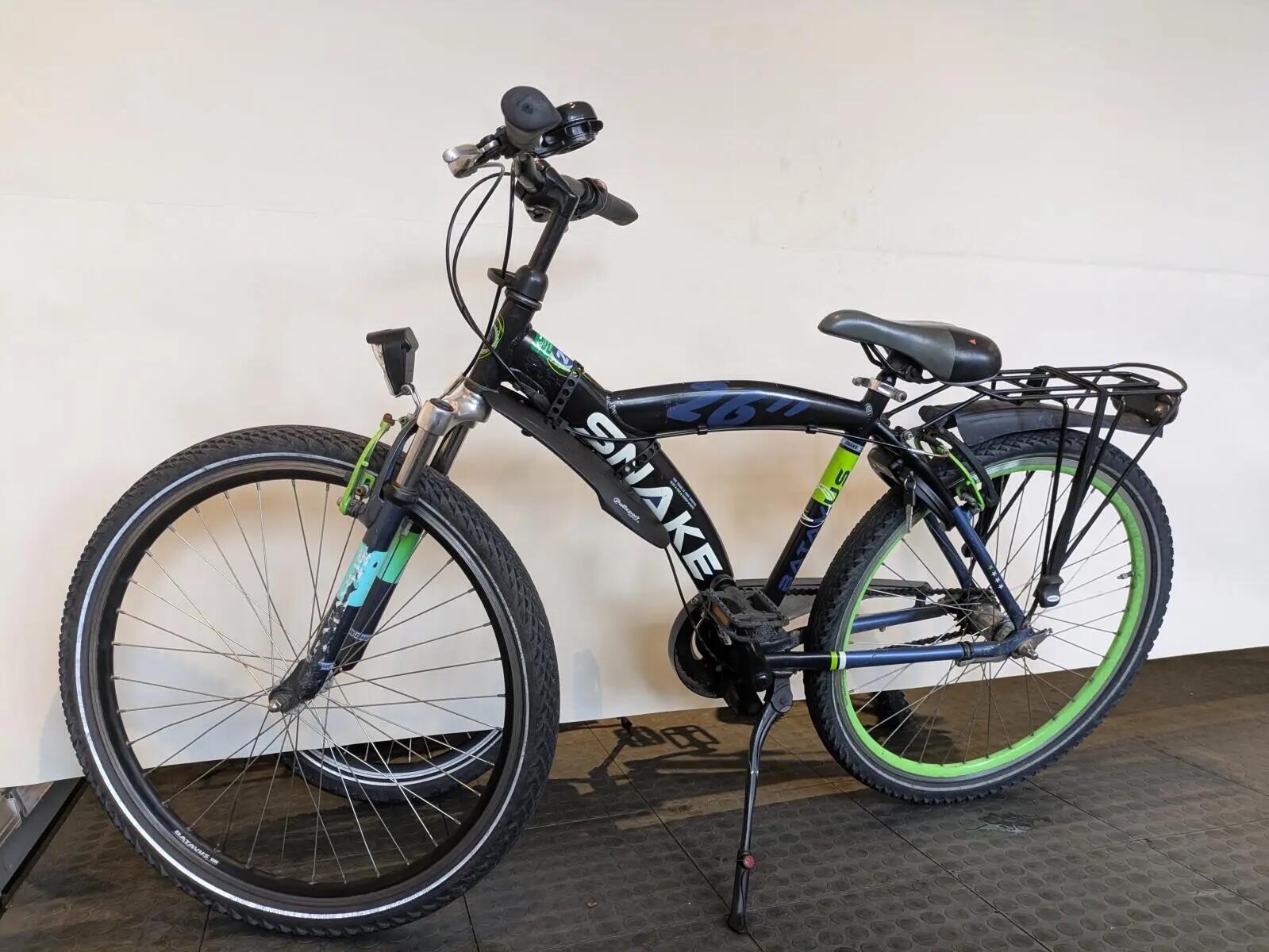 Batavus Snake 3/5