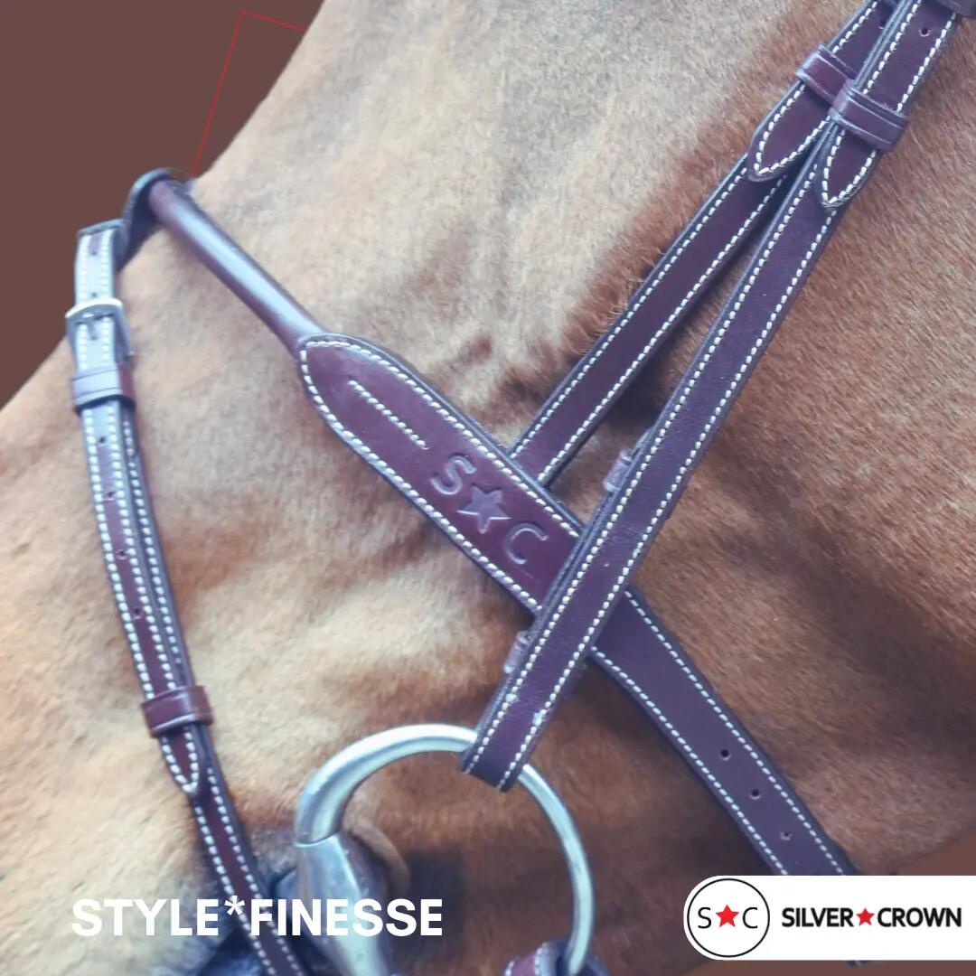 Bridon équitation muserolle combinée Silver Crown Style Finesse 3/3