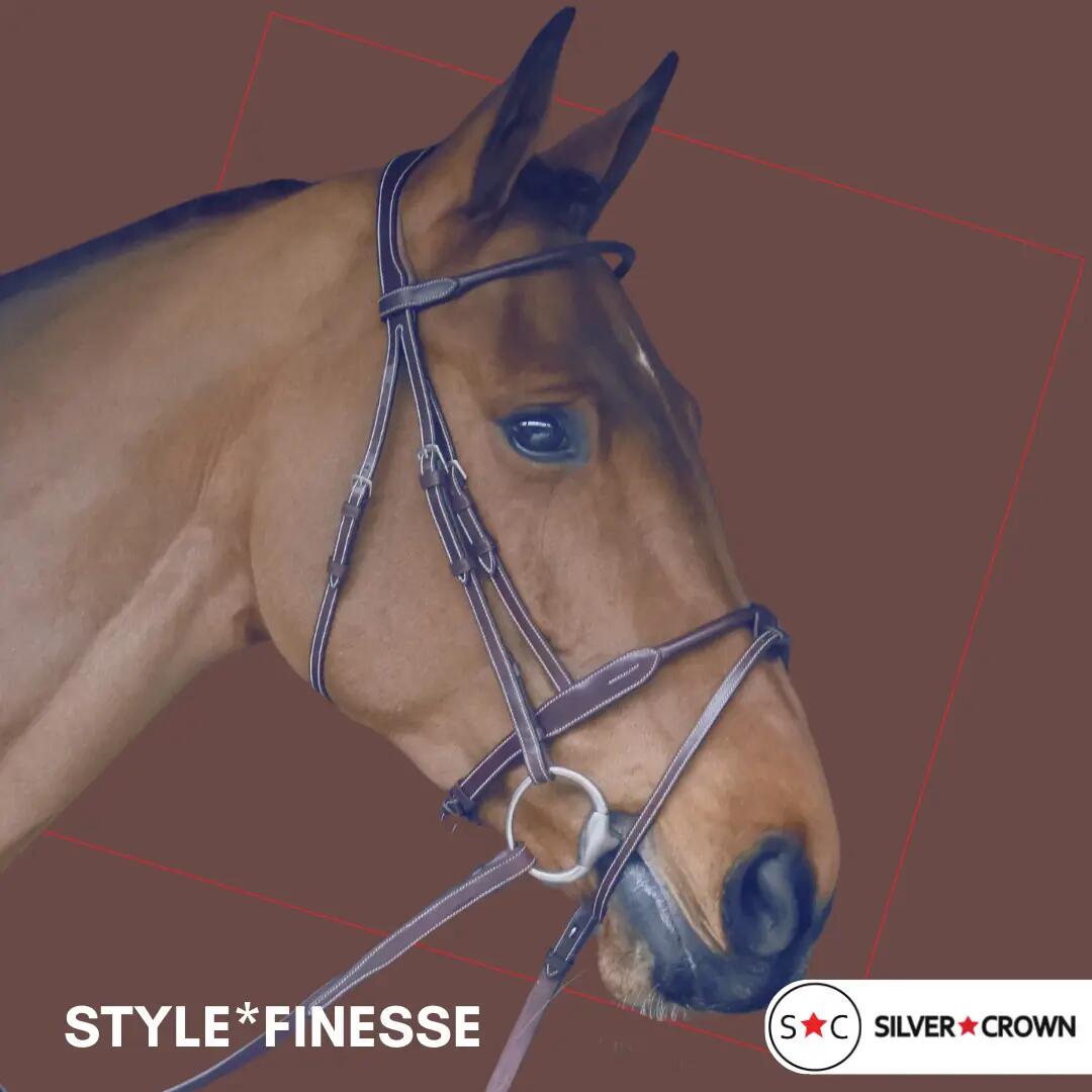 Bridon équitation muserolle combinée Silver Crown Style Finesse 2/3