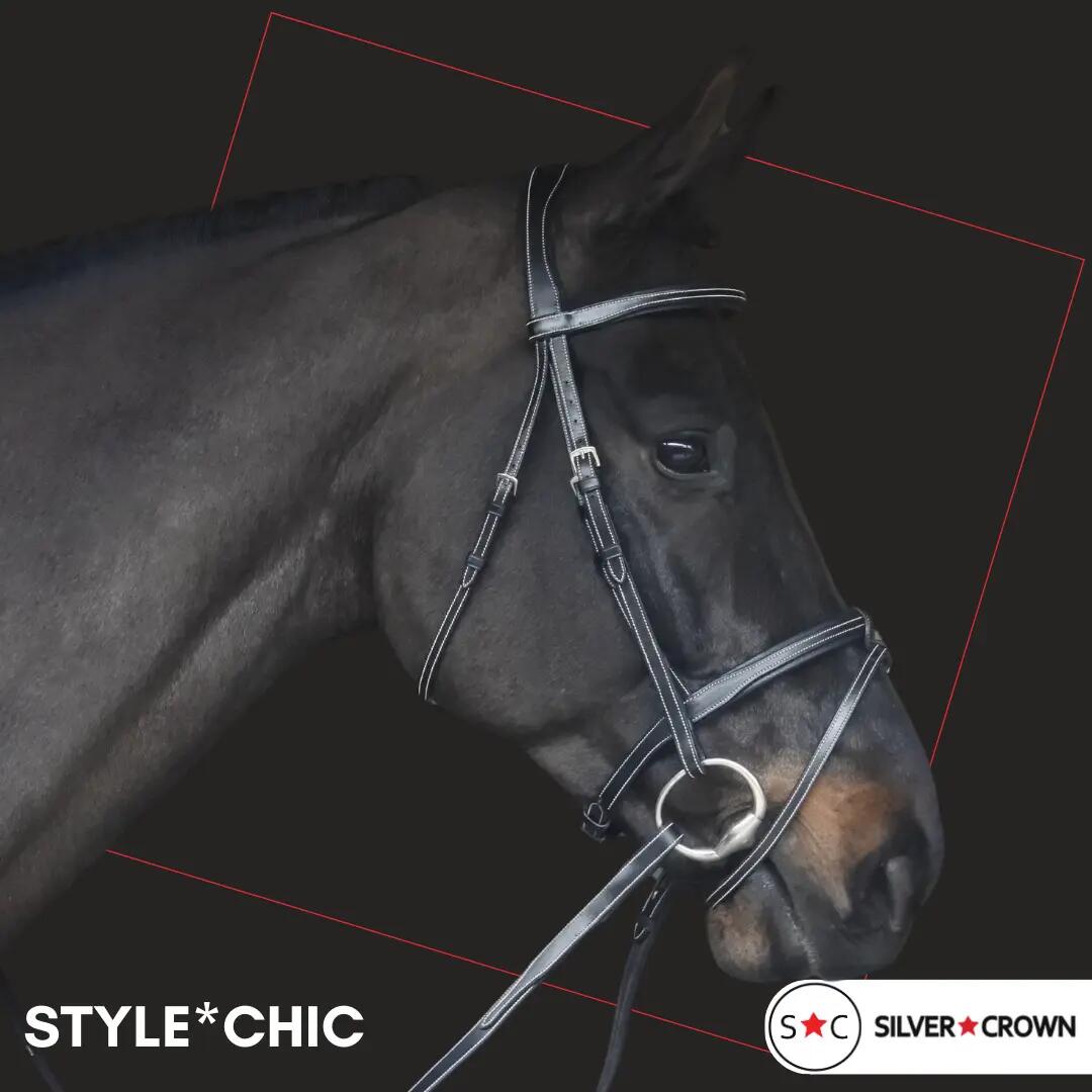 Bridon équitation pour cheval Silver Crown Style* Chic 2/2