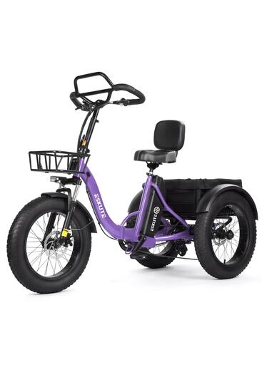 Tricycle cargo électrique ESKUTE T302 Pro, batterie 48 V 20,8 Ah