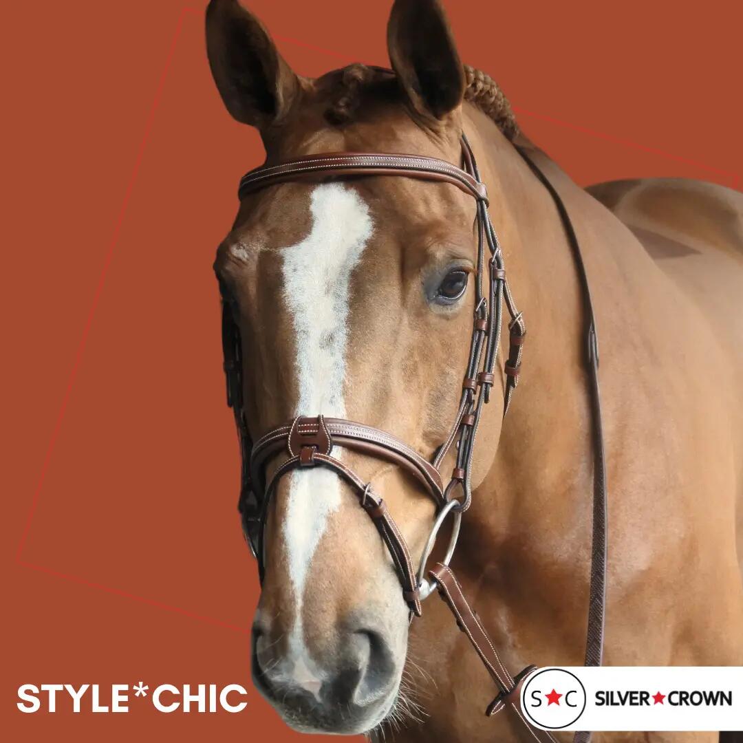 Bridon équitation pour cheval Silver Crown Style* Chic 3/3