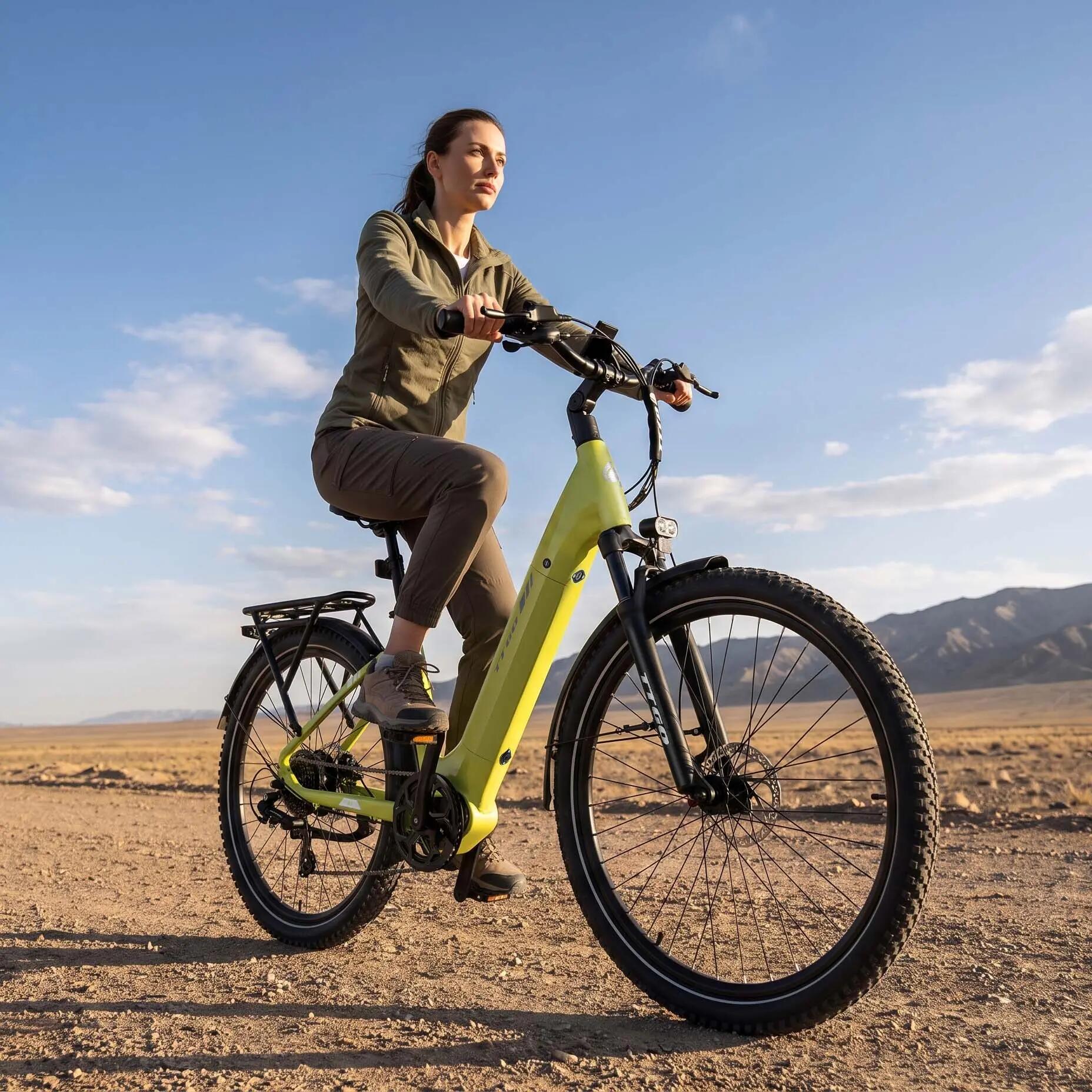 Bicicletta elettrica per adulti Z3: 27,5" × 2,4", batteria 48V 15Ah, 250W. 8/8