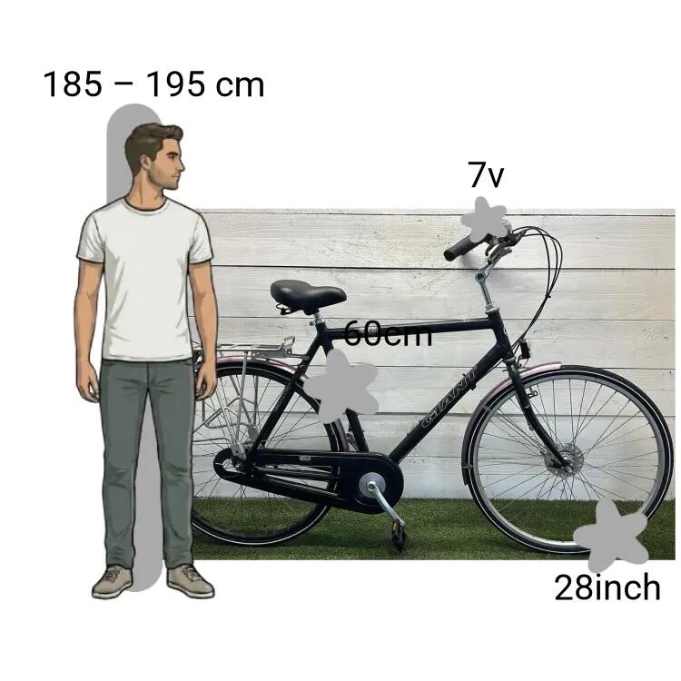 Bicicletta usata Giant Freerider 2/4