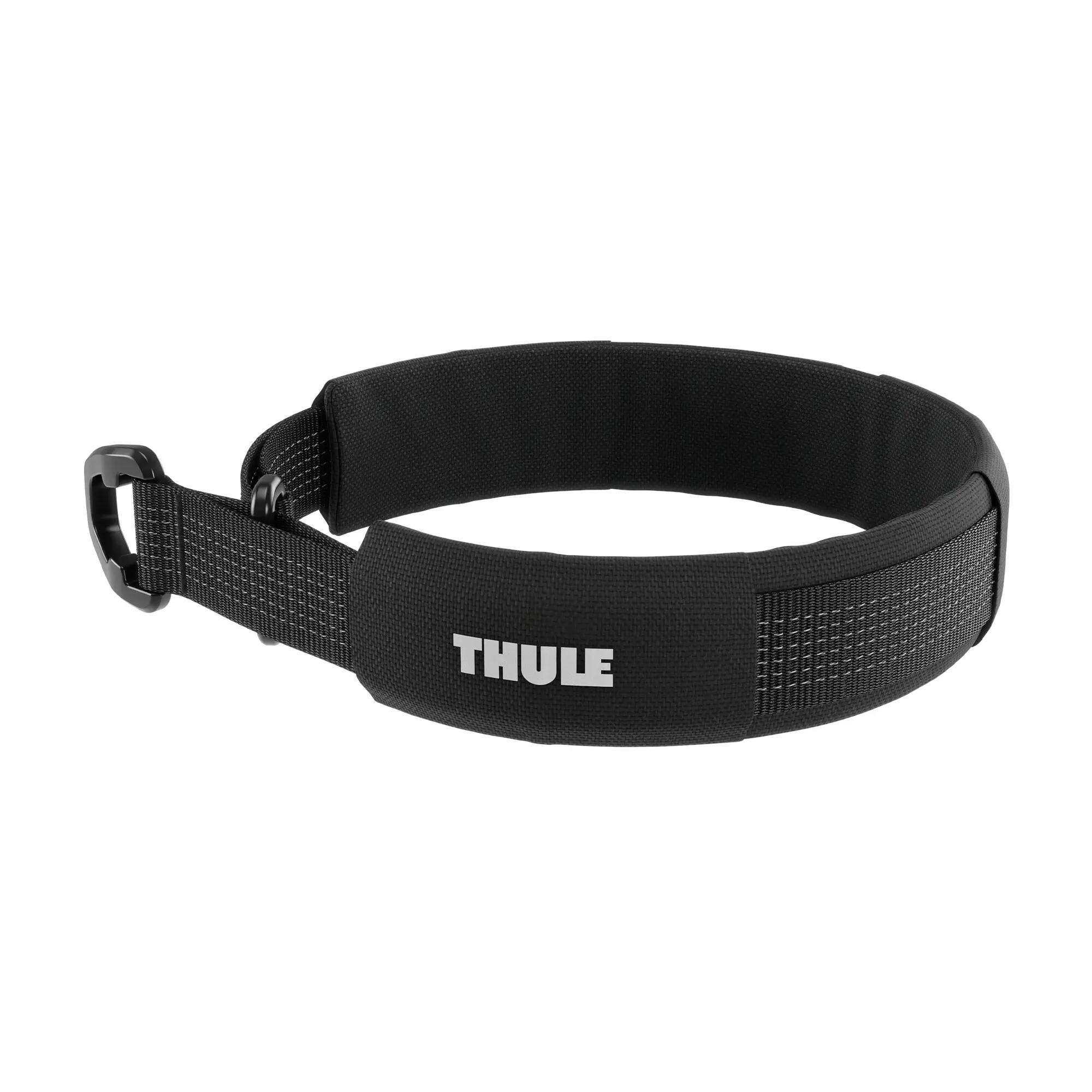 THULE picture