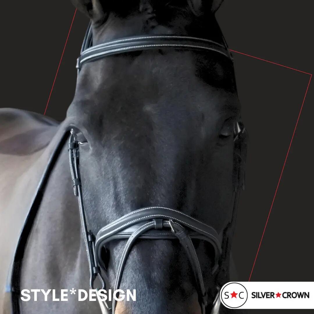 Bridon équitation pour cheval Silver Crown Style* Design 3/3