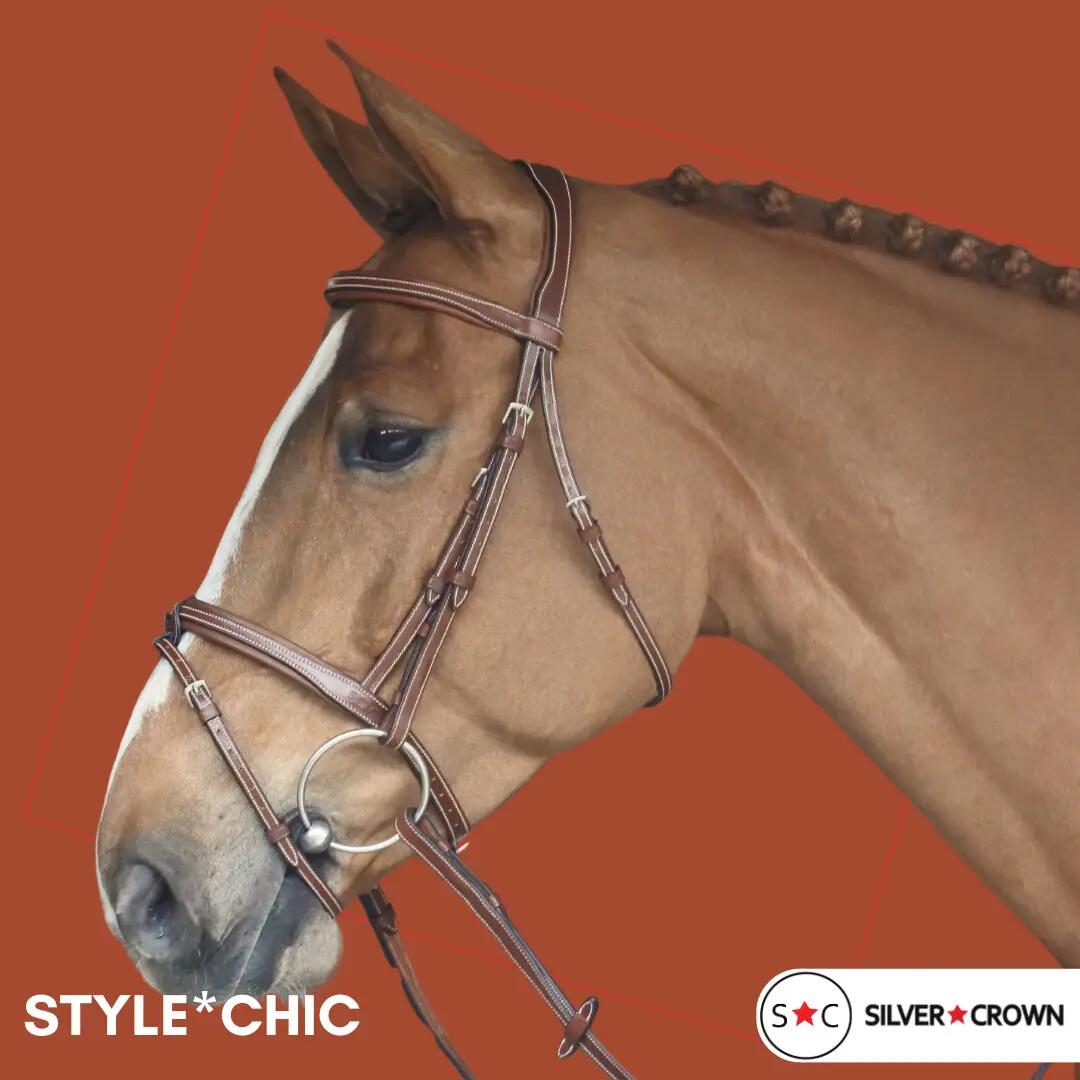 Bridons équitation pour cheval sans rênes Silver Crown Style Chic 2/2