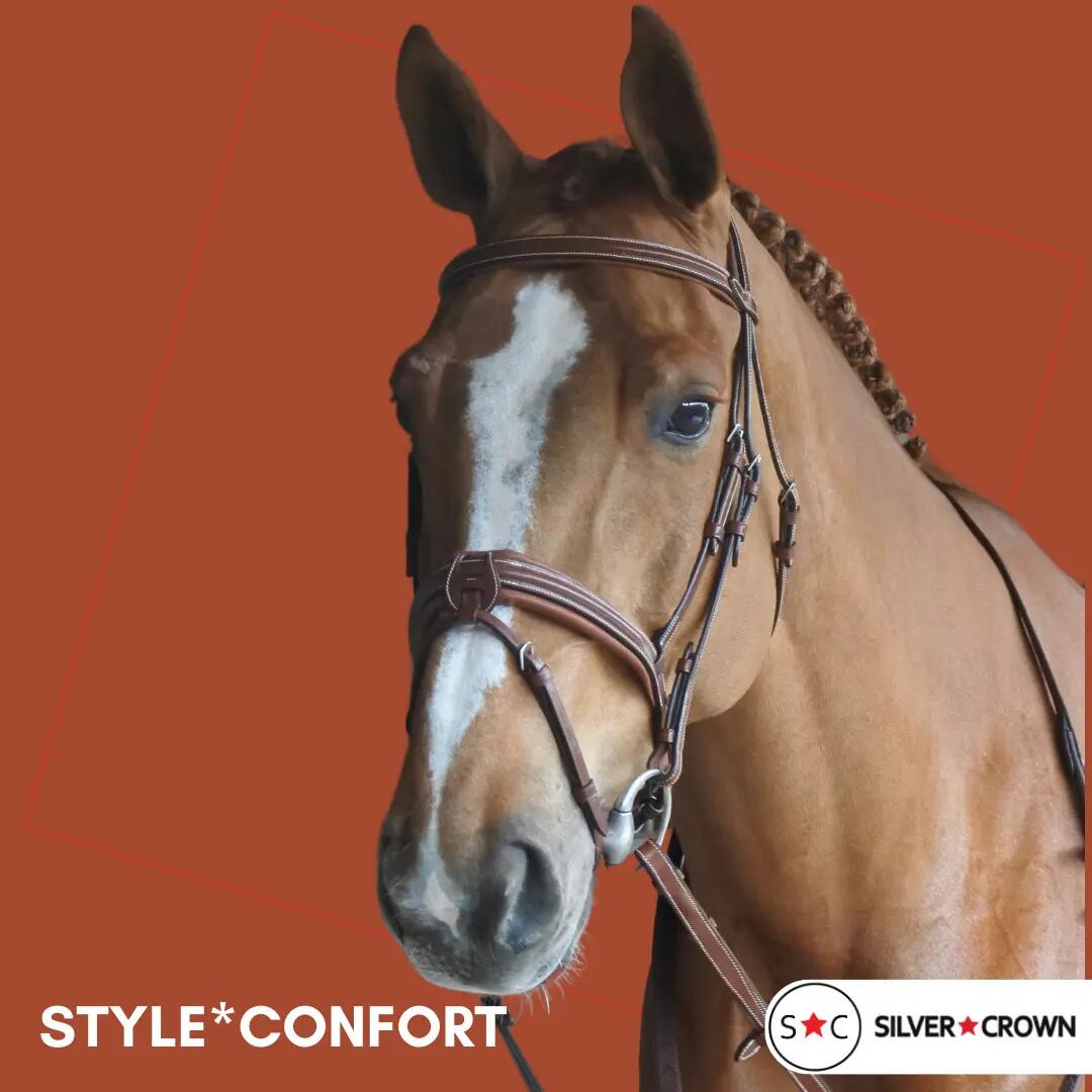 Bridon équitation pour cheval Silver Crown Style* Confort 3/3