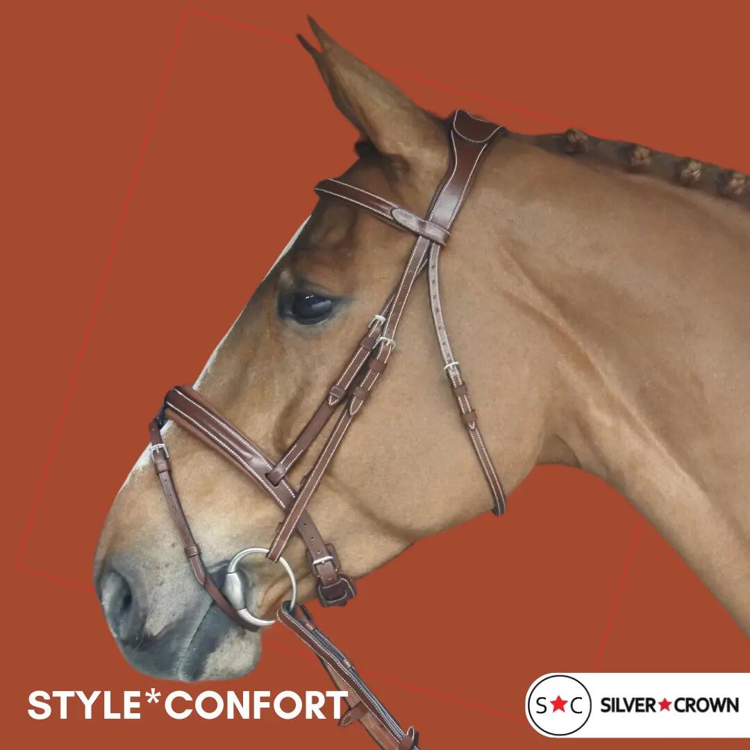 Bridon équitation pour cheval Silver Crown Style* Confort 2/3