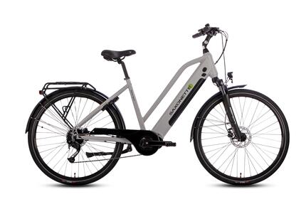 DELUXE SPORT TRAPEZ Vélo électrique 250W Moteur central 70Nm, 418Wh, Alivio