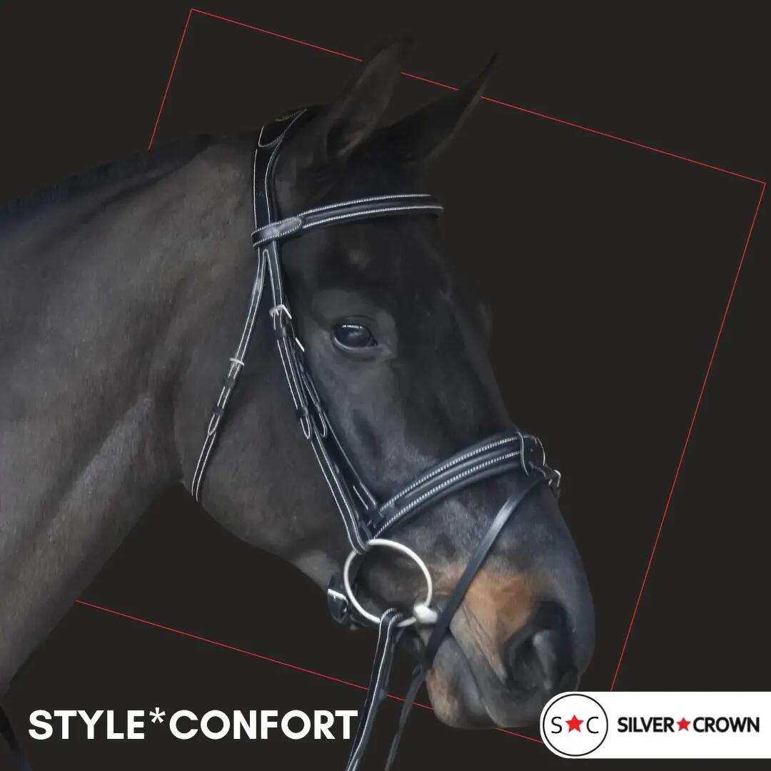 Bridon équitation pour cheval Silver Crown Style* Confort 2/2