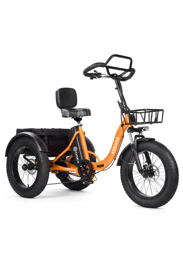 Tricycle cargo électrique ESKUTE T302 Pro, batterie 48 V 20,8 Ah