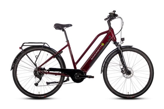 DELUXE SPORT TRAPEZ Vélo électrique 250W Moteur central 70Nm, 418Wh, Alivio