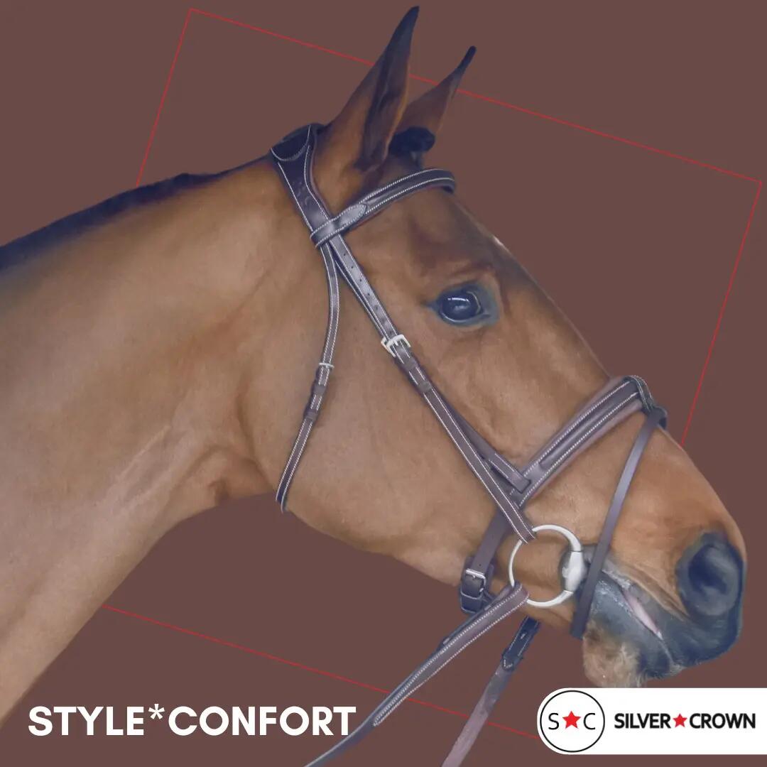 Bridons équitation pour cheval sans rênes Silver Crown Style Confort 2/2