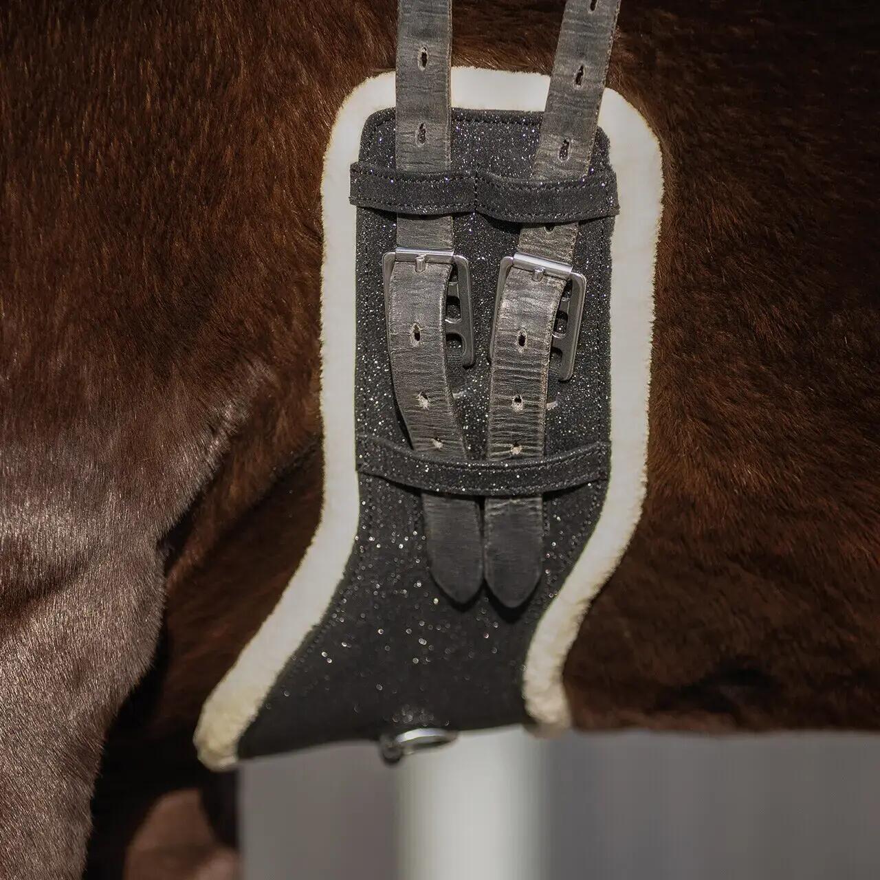 Paardensingel QHP 6/7