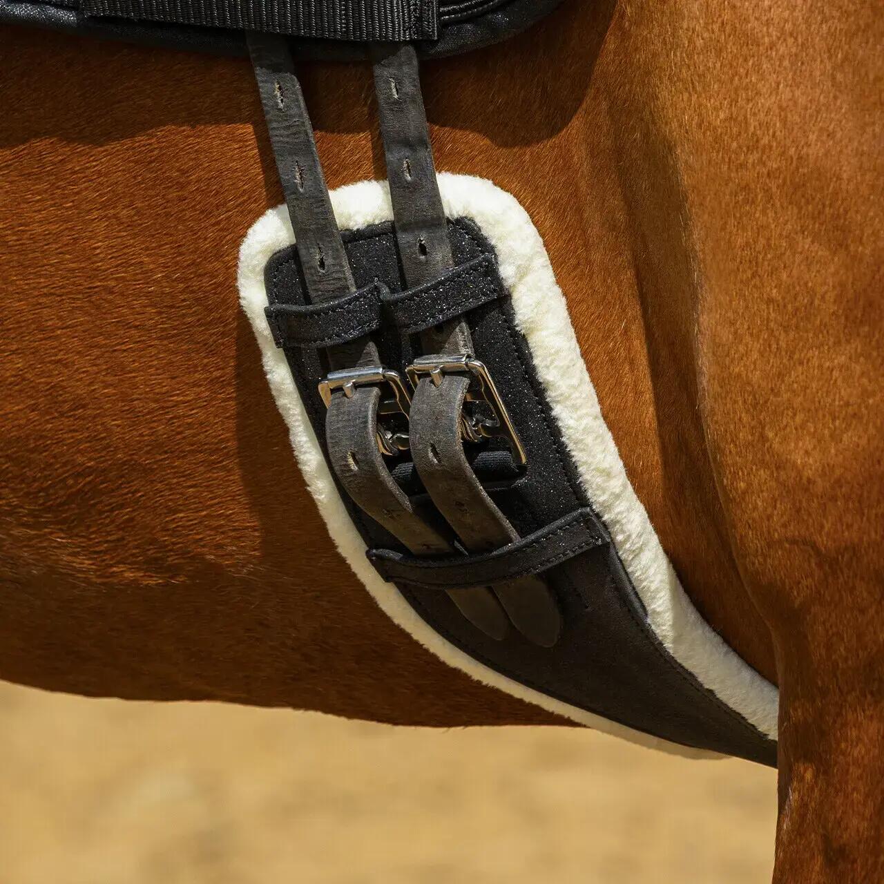 Paardensingel QHP 3/7