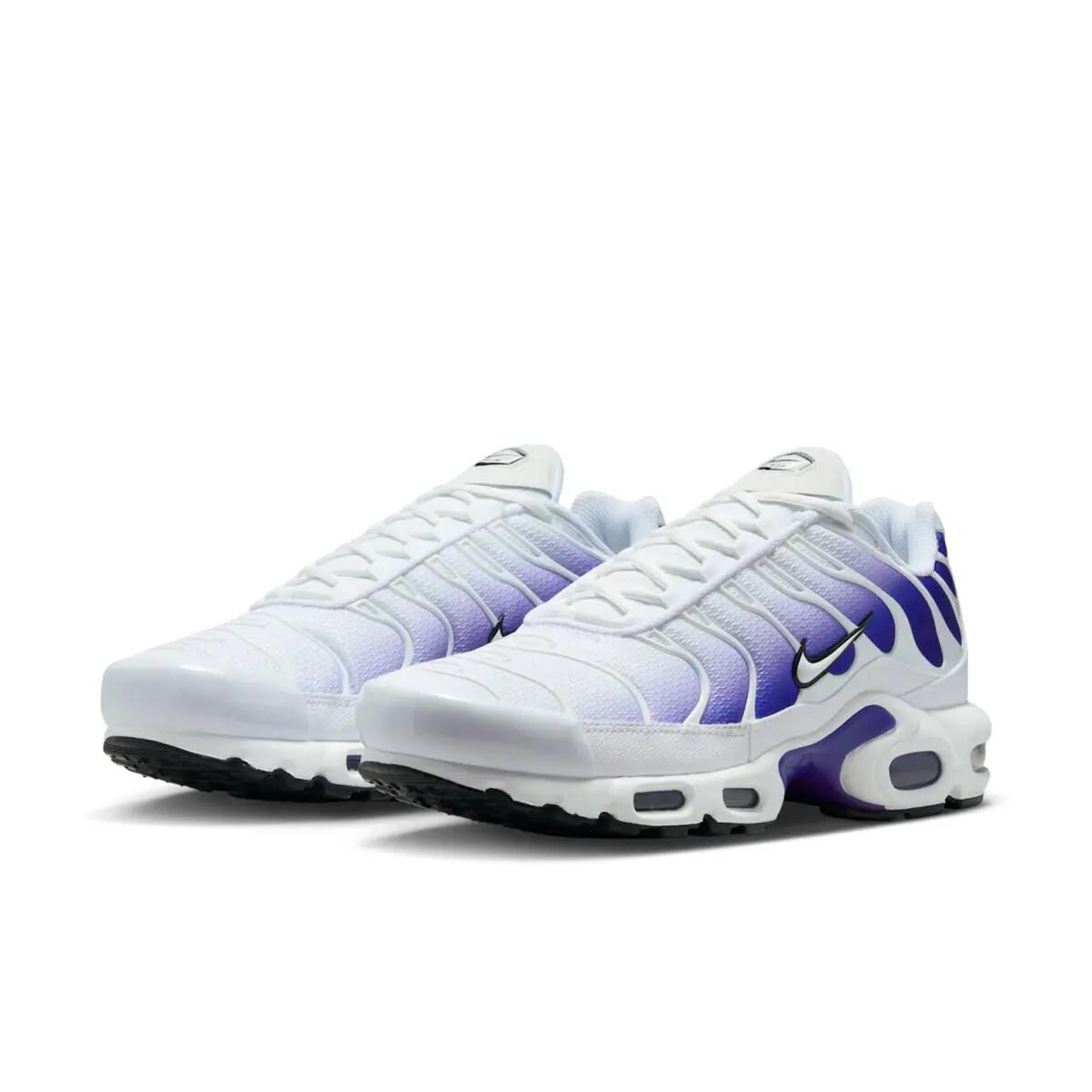 Nike Air Max Plus TN Wild Grape 5/6