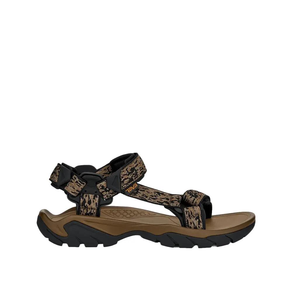 TEVA picture
