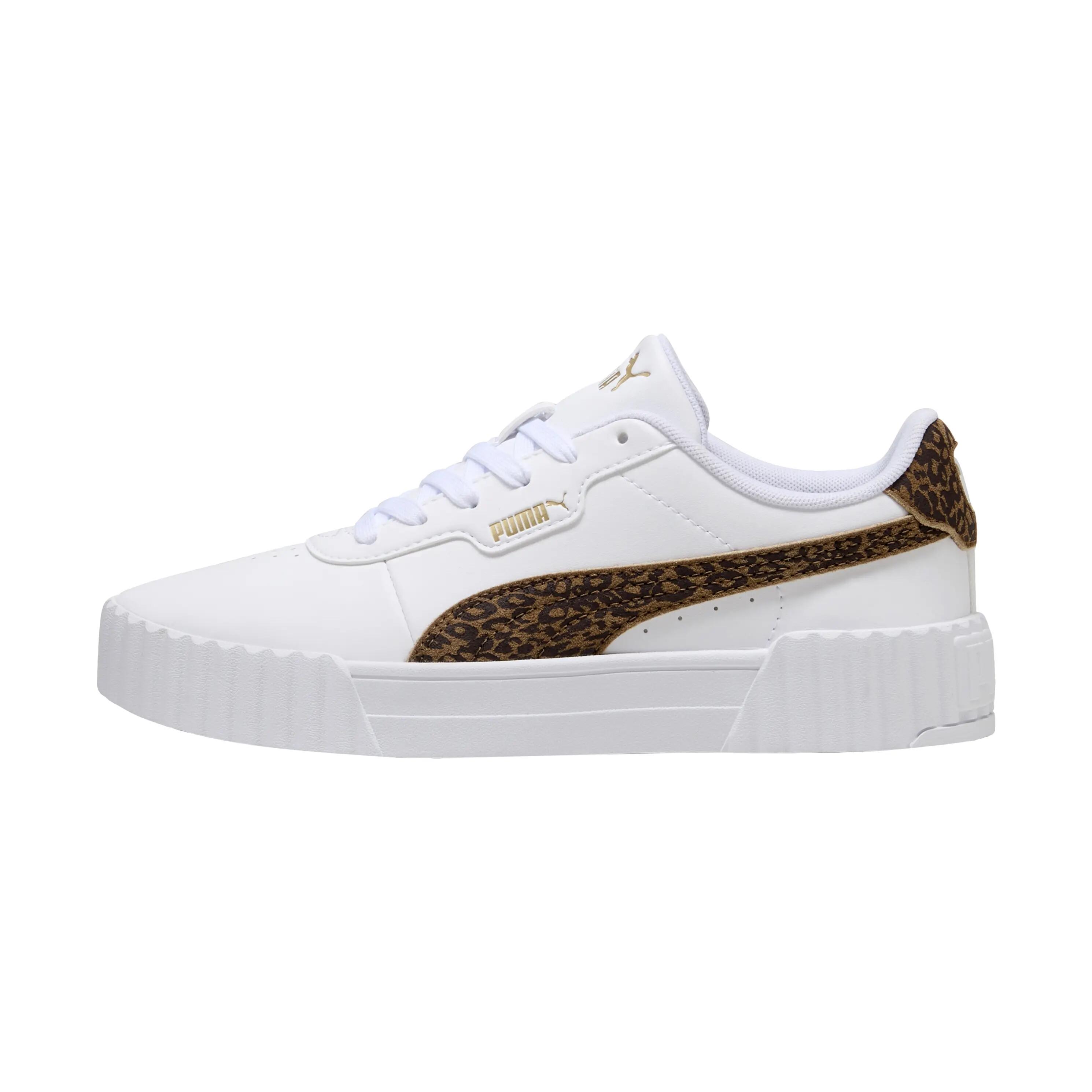 PUMA picture